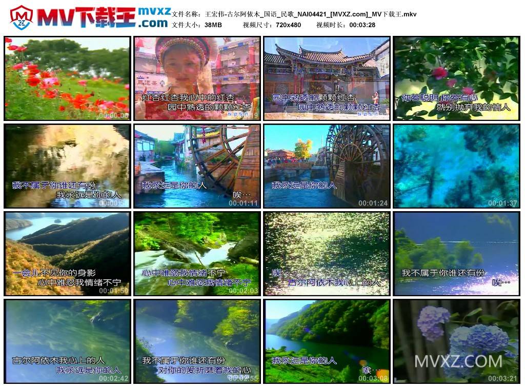 王宏伟-古尔阿依木_国语_民歌_NAI04421